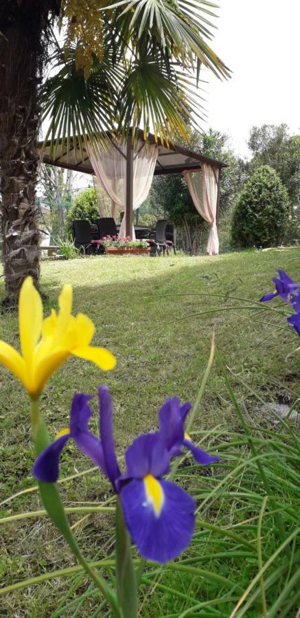Casa Betania Casa Per Ferie 2* Florenz